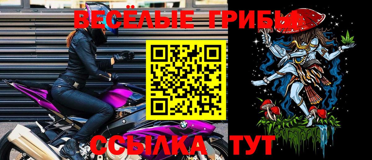 Астрахань  Галлюциногенные грибы прущие грибы  Галлюциногенные грибы Psilocybe  Вход с VPN 
