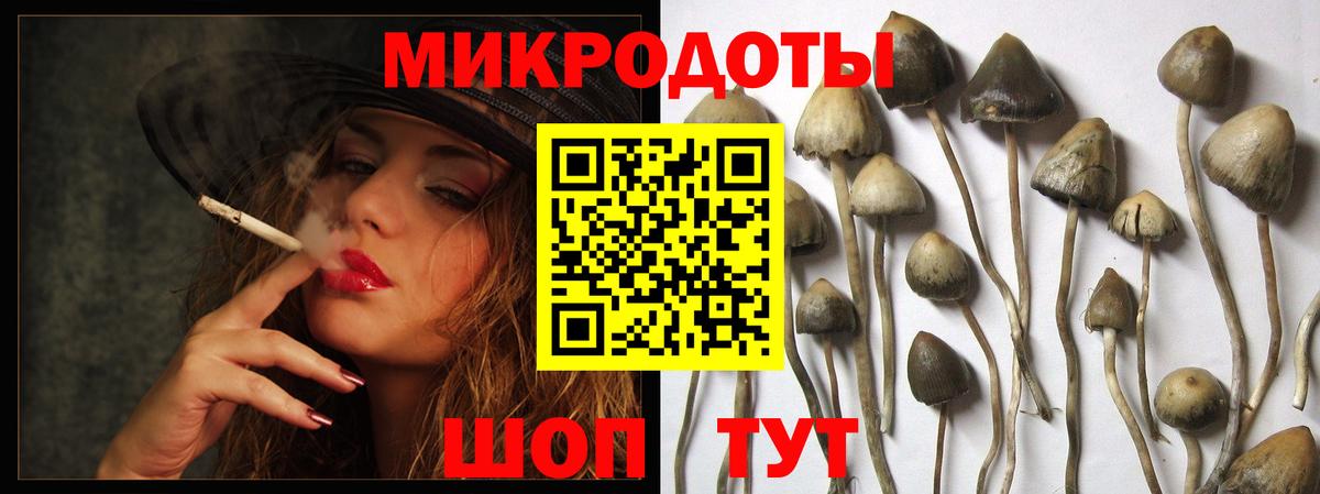 Галлюциногенные грибы прущие грибы Астрахань